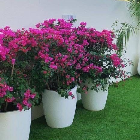 Tejas Support Profile